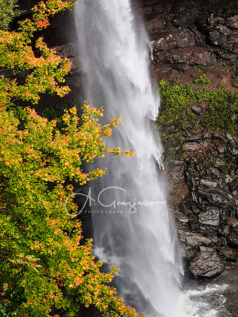 Kaaterskill Falls