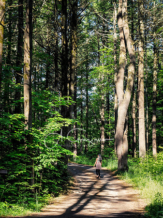 Getaway - Catskills East 2024