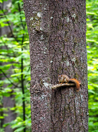 Getaway - Catskills East 2024
