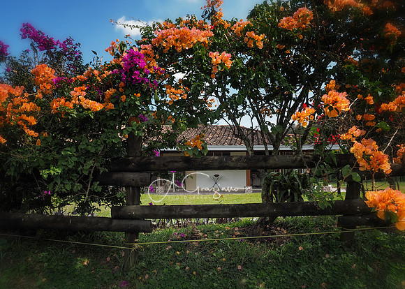 Carolina del Principe, Carolina, Colombia