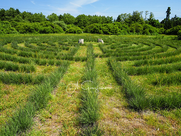 Landcraft Gardens Workshop 2022