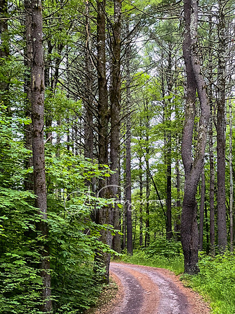 Getaway - Catskills East 2024