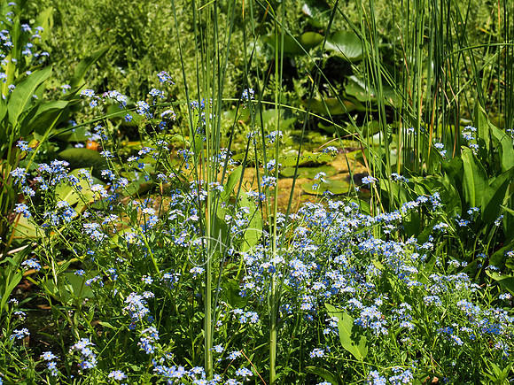 Landcraft Garden Foundation 2023