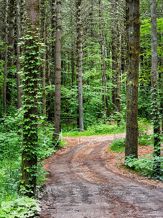 Getaway - Catskills East 2024