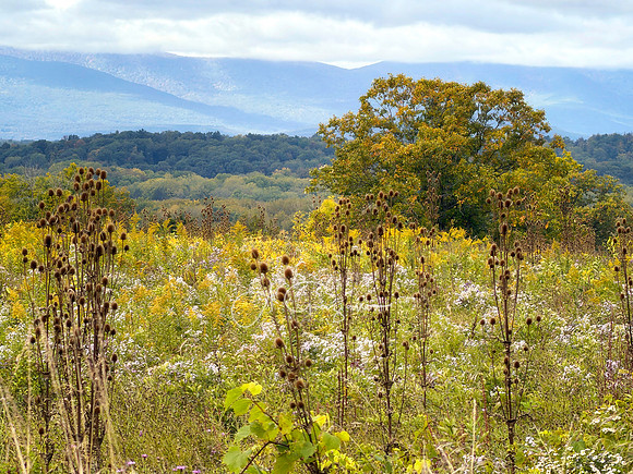 Greenport Conservation Area, Hudson NY