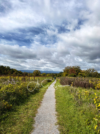 Greenport Conservation Area, Hudson NY