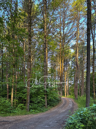 Getaway - Catskills East 2024