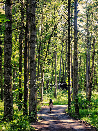 Getaway - Catskills East 2024