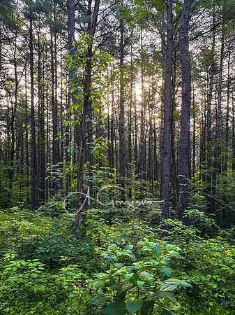 Getaway - Catskills East 2024