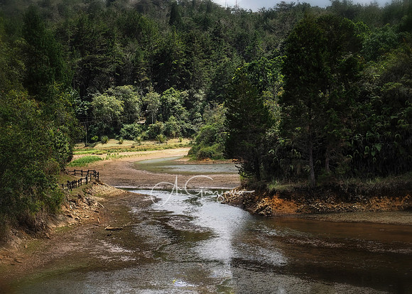 Arvi National Park, Colombia