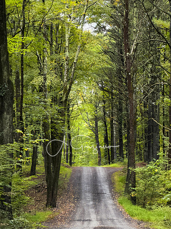Postcared Cabins - Catskills East