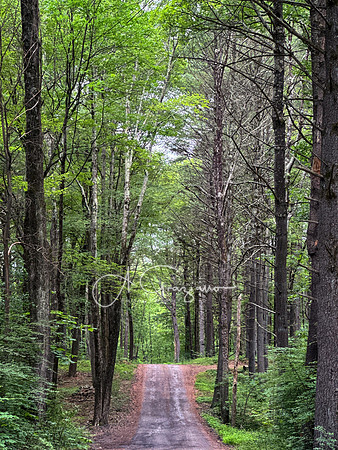Getaway - Catskills East 2024