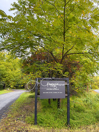 Postcared Cabins - Catskills East