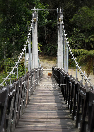 Arvi National Park, Colombia