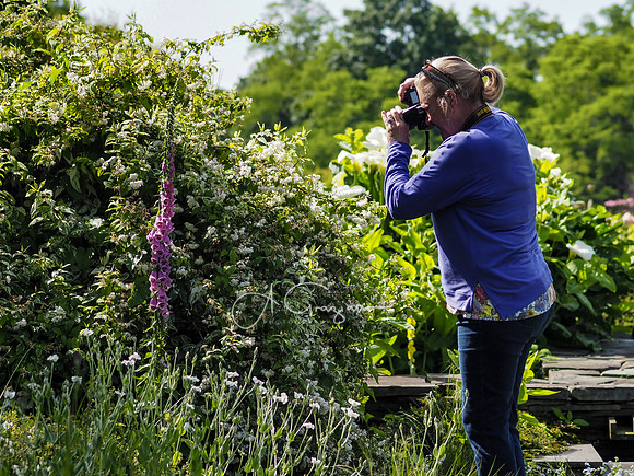 Landcraft Garden Foundation Workshop