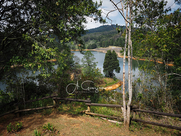 Arvi National Park, Colombia