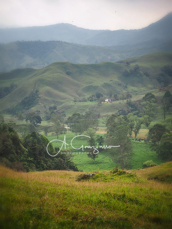 Carolina del Principe, Carolina, Colombia