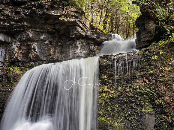 Cowshed Falls - Fillmore Glen State Park - Moravia