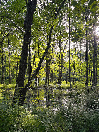 Getaway - Catskills East 2024