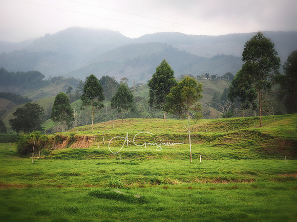 Carolina del Principe, Carolina, Colombia