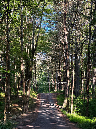 Getaway - Catskills East 2024