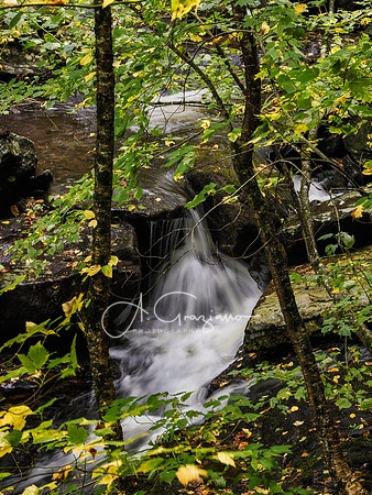 Kaaterskill Falls