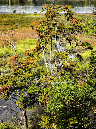 Greenport Conservation Area, Hudson NY