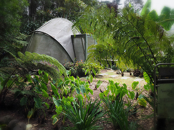 Arvi National Park, Colombia