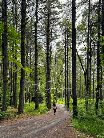 Getaway - Catskills East 2024