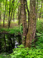 Getaway - Catskills East 2024