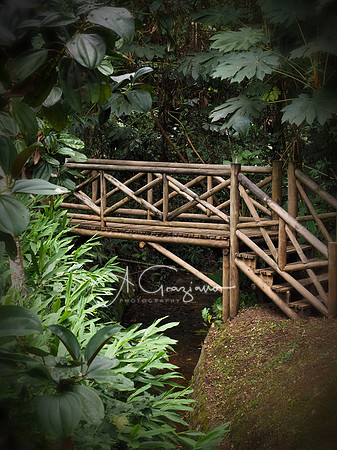 Arvi National Park, Colombia