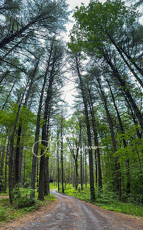 Getaway - Catskills East 2024