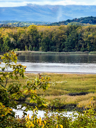 Greenport Conservation Area, Hudson NY