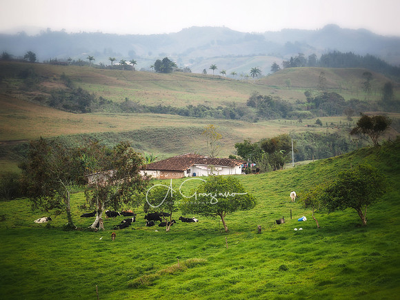 Carolina del Principe, Carolina, Colombia