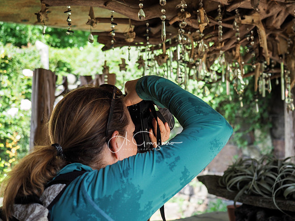 Landcraft Garden Foundation Workshop