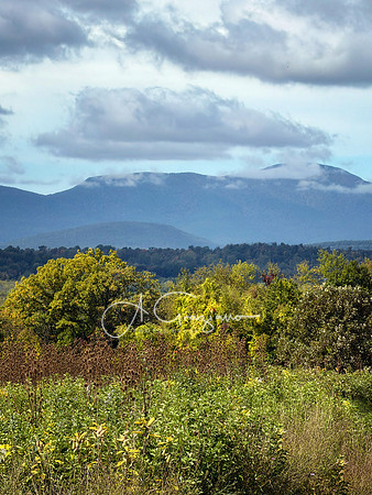 Greenport Conservation Area, Hudson NY