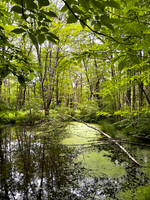 Getaway - Catskills East 2024