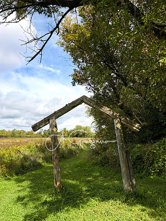 Greenport Conservation Area, Hudson NY