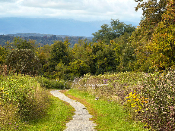 Greenport Conservation Area, Hudson NY