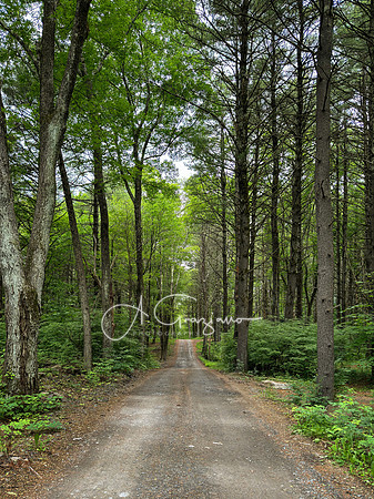 Getaway - Catskills East 2024