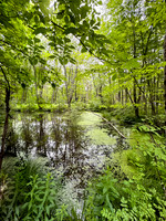 Getaway - Catskills East 2024