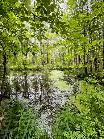 Getaway - Catskills East 2024