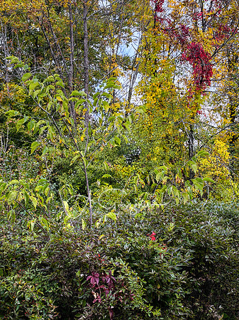 Greenport Conservation Area, Hudson NY
