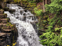 Upper Falls - Fillmore Glen State Park - Moravia