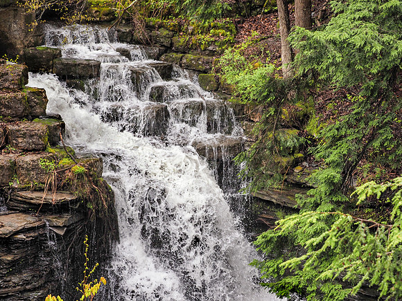 Upper Falls - Fillmore Glen State Park - Moravia