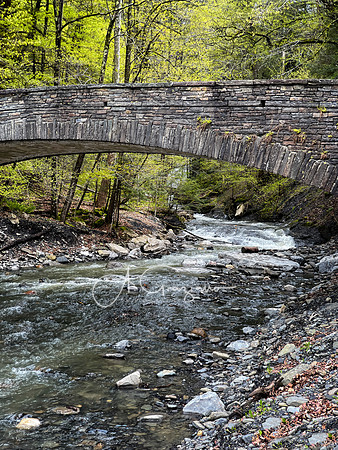 Fillmore Glen State Park - Moravia