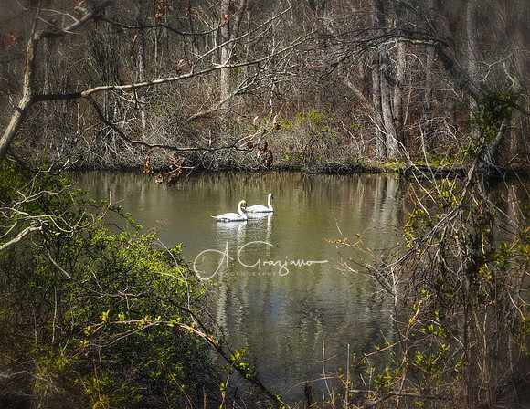 Quiet Moment
