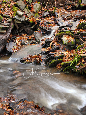 Catskills West