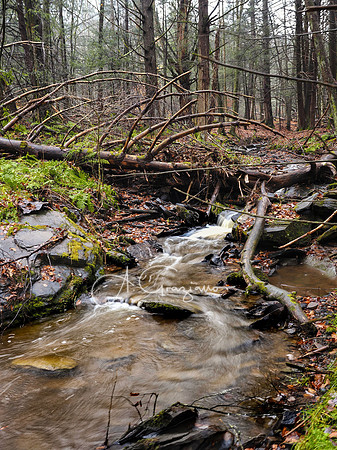 Catskills West