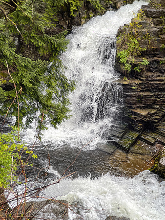 Upper Fall - Fillmore Glen State Park - Moravia